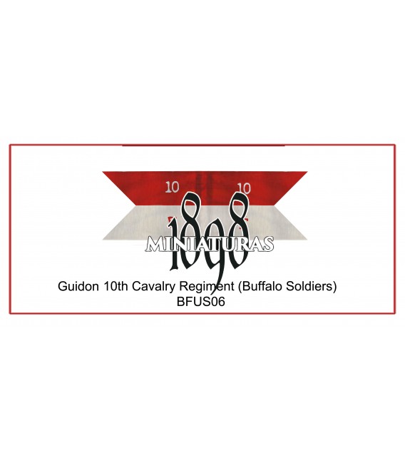 Company Guidon, 10th Cavalry (Buffalo soldiers)