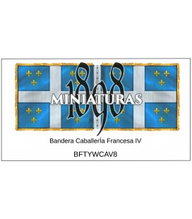 Bandera de Caballería Francesa IV