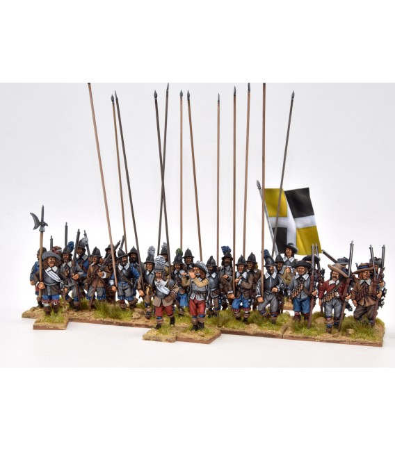 Thirty Years War French Regiment